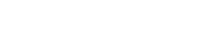 logo oknoprime.png